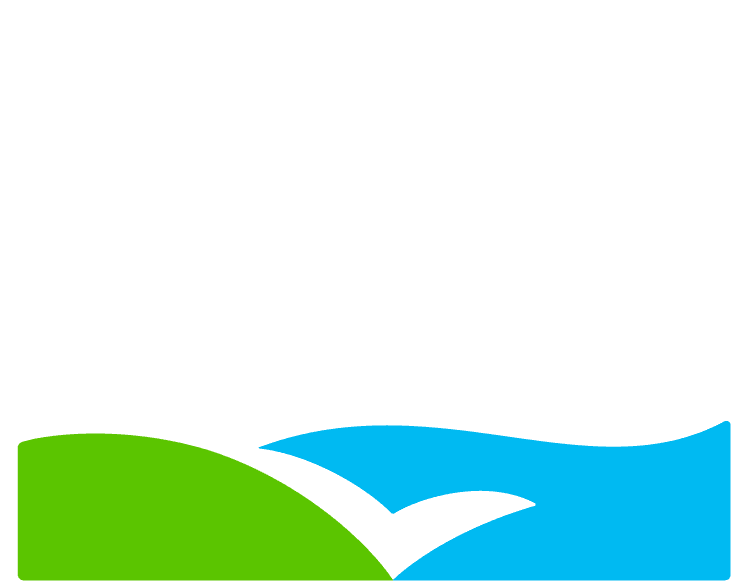 Great Lakes Institute of Management Online